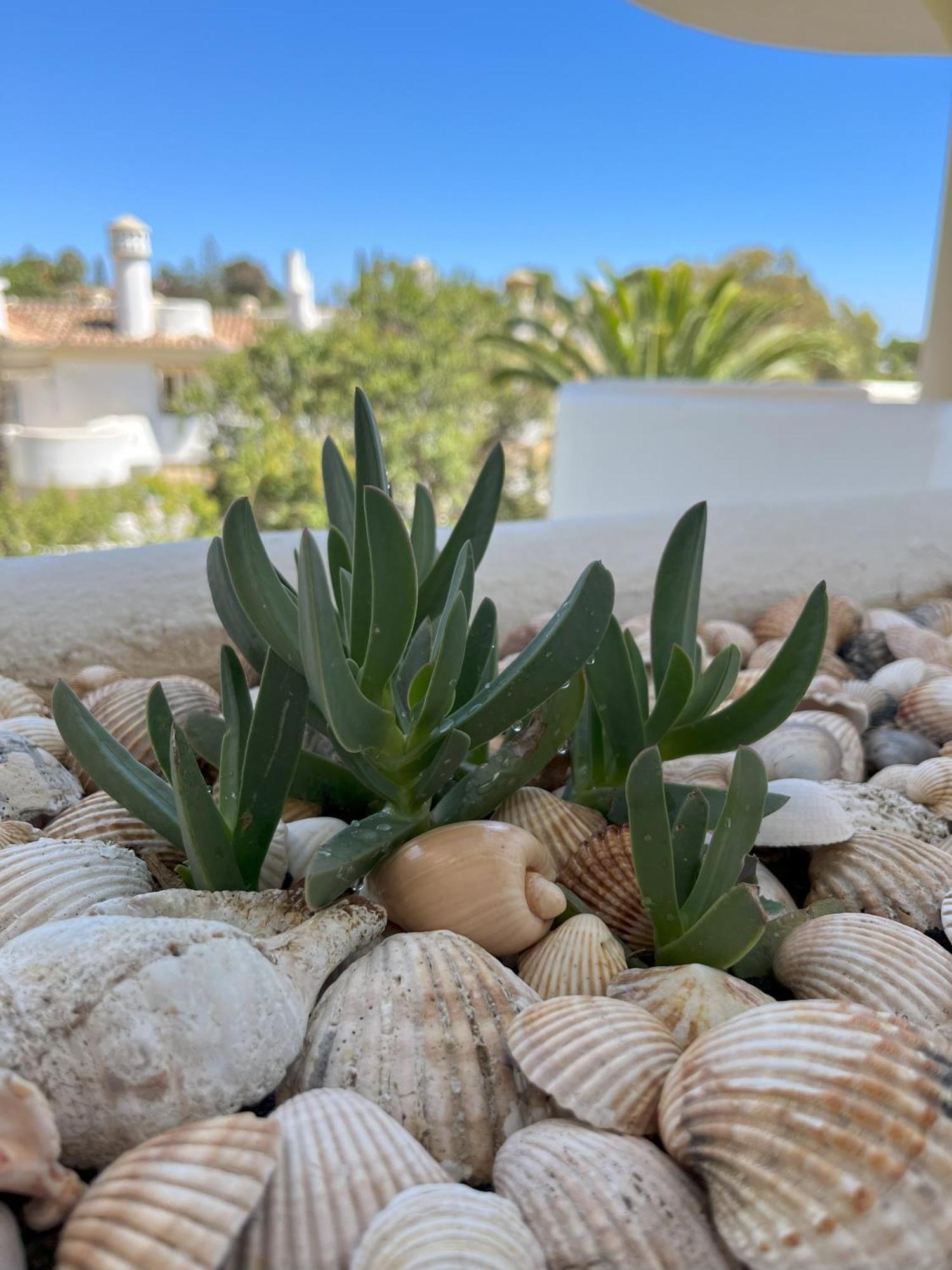 Casadeleon - Costadelsol Vacations & Remote Work Sitio de Calahonda Bagian luar foto